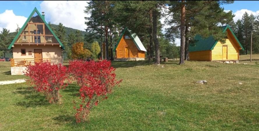 Chalet Cilac Žabljak Extérieur photo