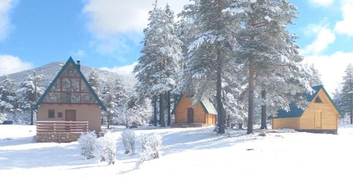 Chalet Cilac Žabljak Extérieur photo